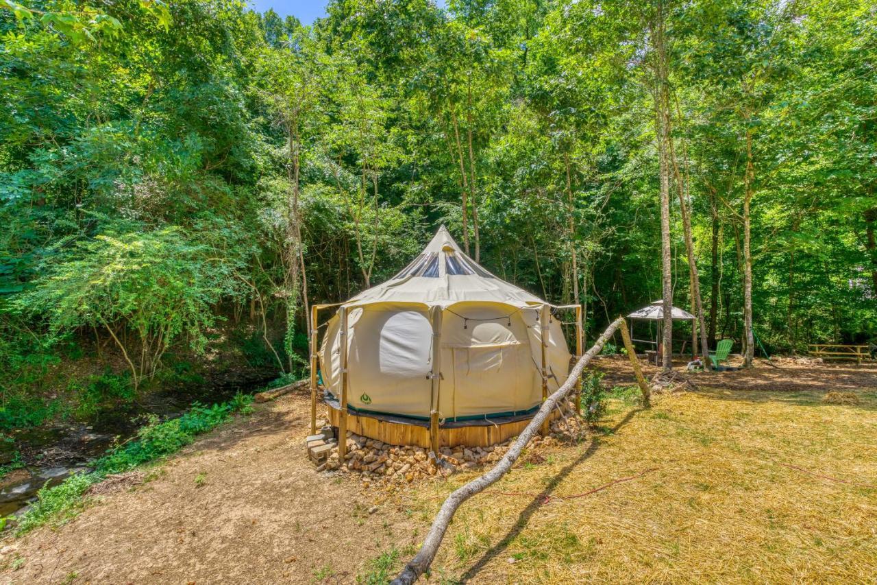 The Gemini-A Dreamy, Waterfront Tiny Cabin Rogersville Exteriér fotografie