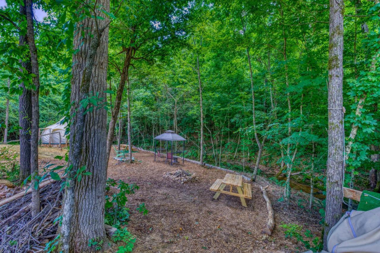 The Gemini-A Dreamy, Waterfront Tiny Cabin Rogersville Exteriér fotografie