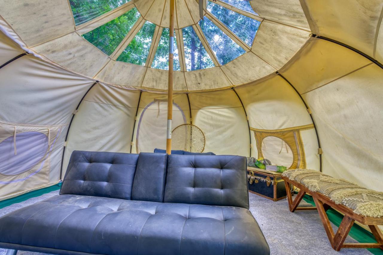 The Gemini-A Dreamy, Waterfront Tiny Cabin Rogersville Exteriér fotografie