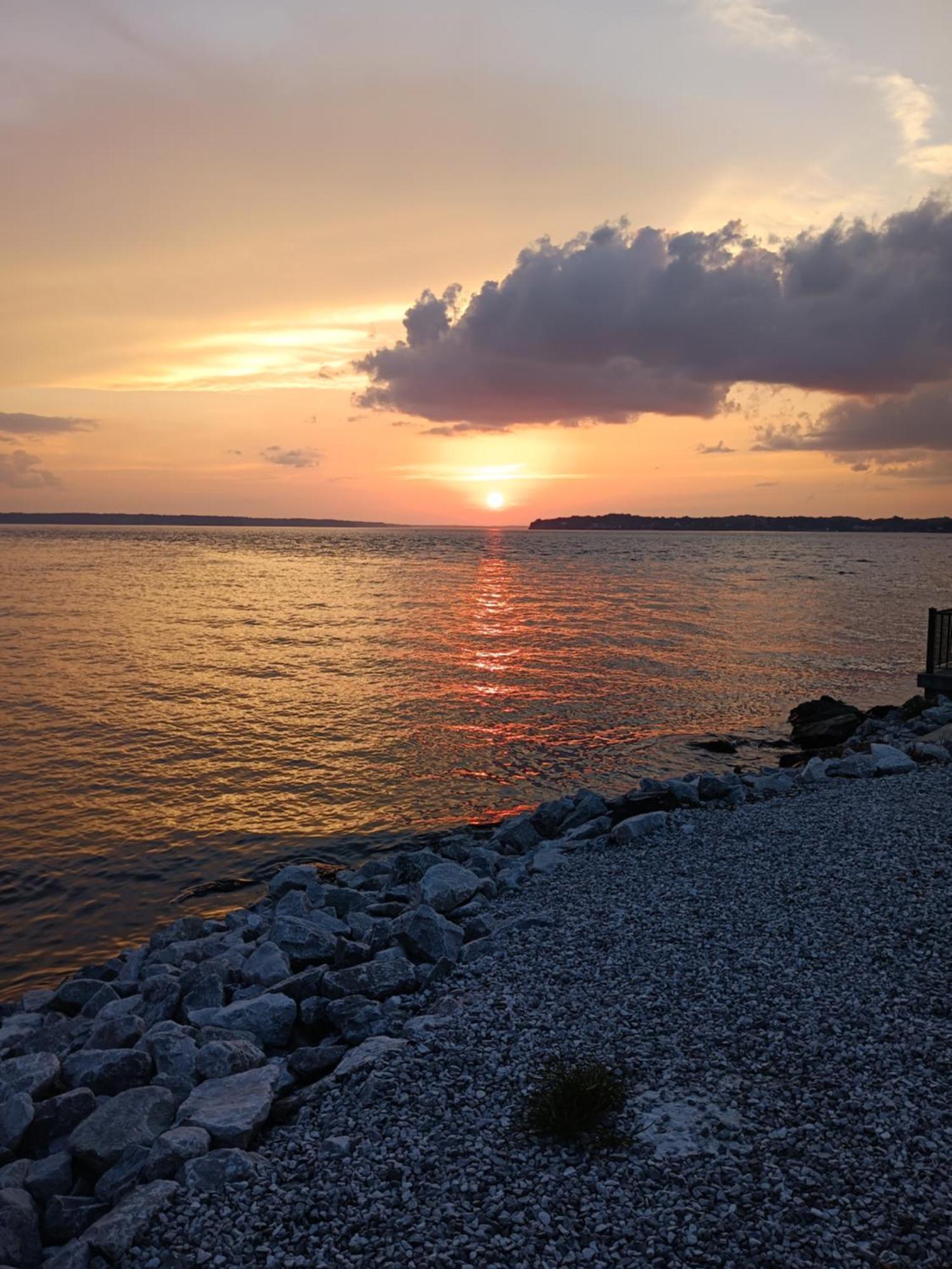 The Gemini-A Dreamy, Waterfront Tiny Cabin Rogersville Exteriér fotografie